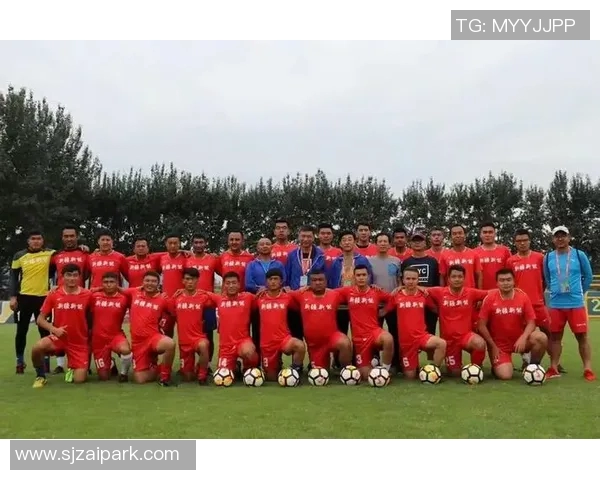 武汉足球队表现卓越最新足球比赛经验TOP10全面解析